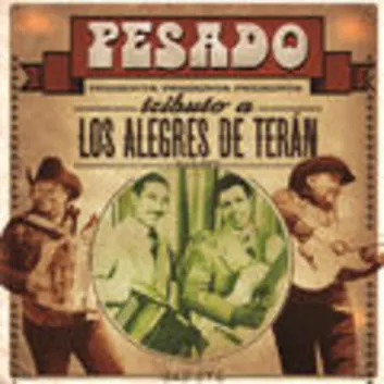 How Much is the Music Album Tributo A Los Alegres De Terán Worth? Royalty & Value Breakdown