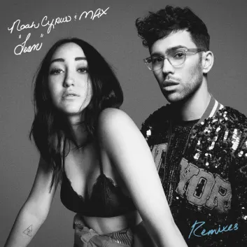 How Much is the Music Album Team (Remixes) Worth? Royalty & Value Breakdown
