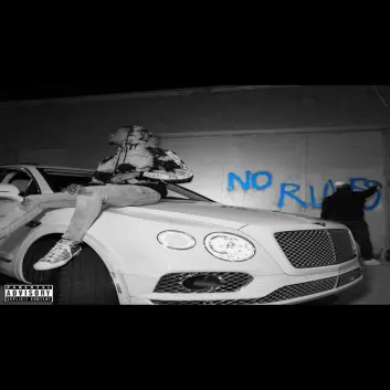 How Much is the Music Album No Rules Worth? Royalty & Value Breakdown