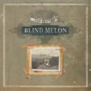 How Much is the Music Album Best Of Blind Melon Worth? Royalty & Value Breakdown