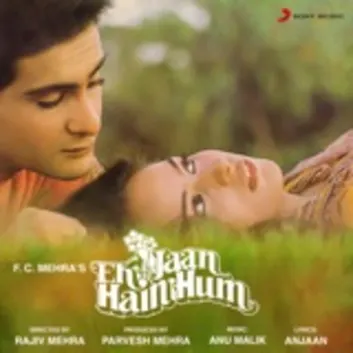 How Much is the Music Album Ek Jaan Hain Hum (Original Motion Picture Soundtrack) Worth? Royalty & Value Breakdown
