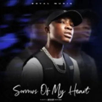 How Much is the Music Album Sorrows Of My Heart Worth? Royalty & Value Breakdown