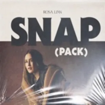 How Much is the Music Album SNAP PACK Worth? Royalty & Value Breakdown