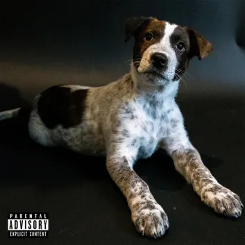 How Much is the Music Album duffle bag boi Worth? Royalty & Value Breakdown