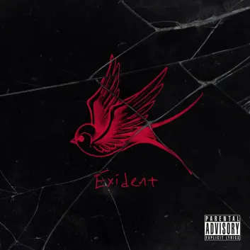 How Much is the Music Album Exident Worth? Royalty & Value Breakdown