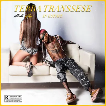 How Much is the Music Album Terra transsese in estate Worth? Royalty & Value Breakdown