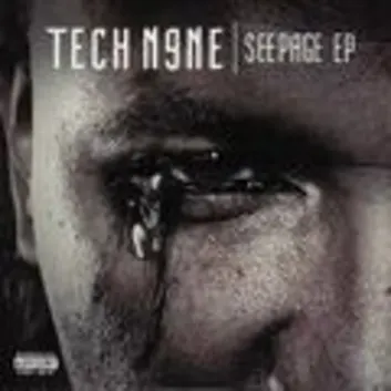 How Much is the Music Album Seepage Worth? Royalty & Value Breakdown