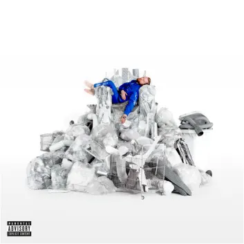 How Much is the Music Album GarbAge Worth? Royalty & Value Breakdown