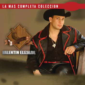 How Much is the Music Album La Mas Completa Coleccion Worth? Royalty & Value Breakdown