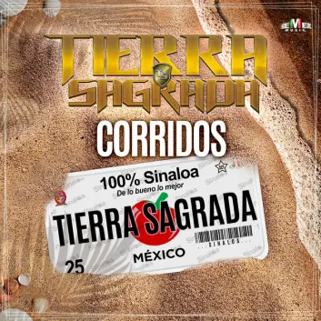 How Much is the Music Album Corridos 100% Sinaloa Worth? Royalty & Value Breakdown