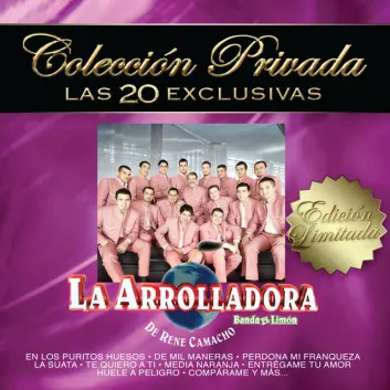 How Much is the Music Album Colección Privada "Las 20 Exclusivas" Worth? Royalty & Value Breakdown