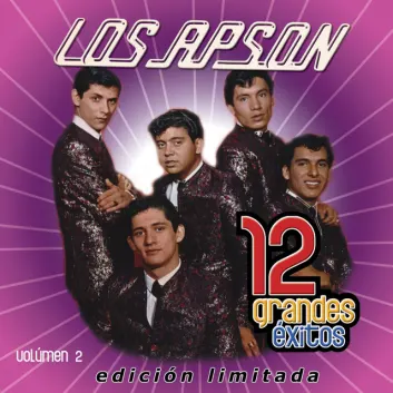 How Much is the Music Album 12 Grandes exitos Vol. 2 Worth? Royalty & Value Breakdown