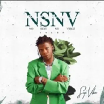 How Much is the Music Album Nsnv Worth? Royalty & Value Breakdown