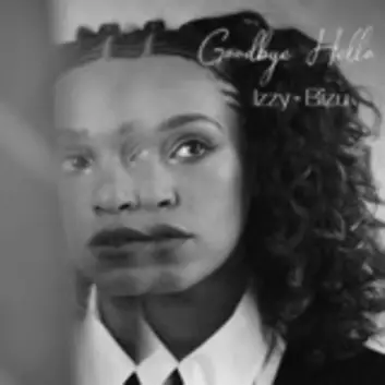 How Much is the Music Album Goodbye Hello - EP Worth? Royalty & Value Breakdown