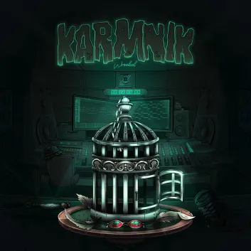 How Much is the Music Album KARMNIK Worth? Royalty & Value Breakdown