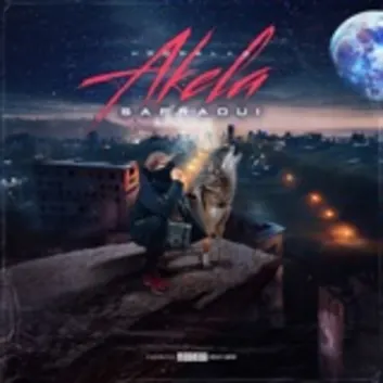 How Much is the Music Album AKELA Worth? Royalty & Value Breakdown