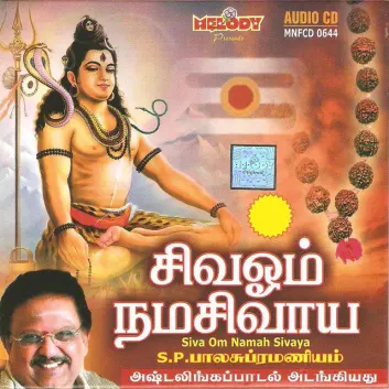 How Much is the Music Album SIVA OM NAMAH SIVAYAE Worth? Royalty & Value Breakdown