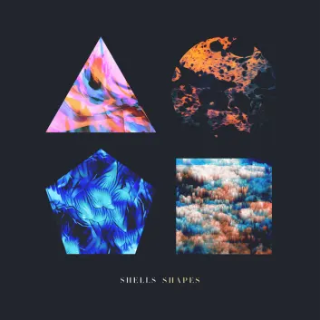 How Much is the Music Album Shapes Worth? Royalty & Value Breakdown
