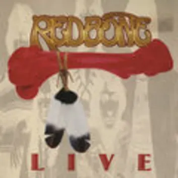 How Much is the Music Album Live Worth? Royalty & Value Breakdown