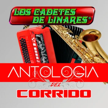 How Much is the Music Album Antologia Del Corrido Worth? Royalty & Value Breakdown