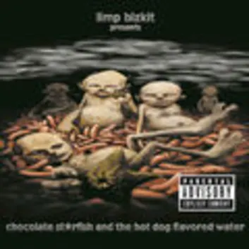 How Much is the Music Album Chocolate Starfish And The Hot Dog Flavored Water Worth? Royalty & Value Breakdown