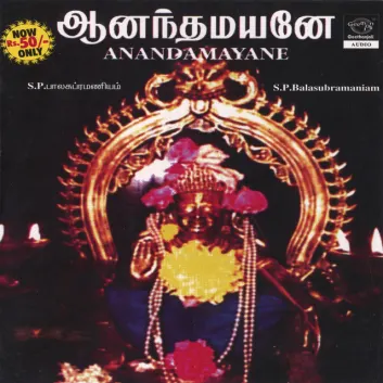 How Much is the Music Album Anandamayane Worth? Royalty & Value Breakdown