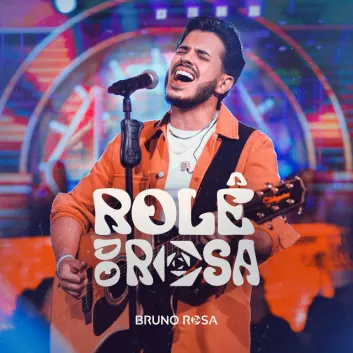 How Much is the Music Album Rolê Do Rosa (Ao Vivo) Worth? Royalty & Value Breakdown