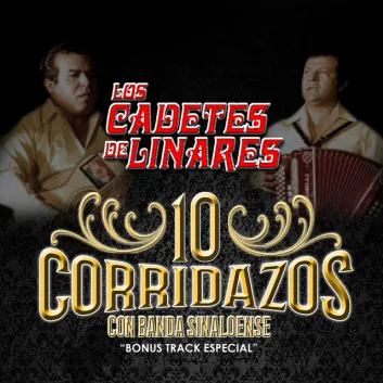 How Much is the Music Album 10 Corridazos Con Banda Sinaloense Worth? Royalty & Value Breakdown