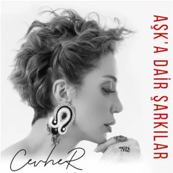 How Much is the Music Album Aşk'a Dair Şarkılar Worth? Royalty & Value Breakdown