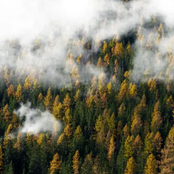 How Much is the Music Album Changeless Worth? Royalty & Value Breakdown