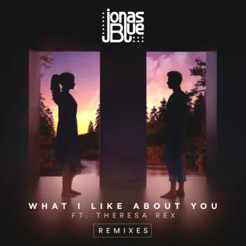 How Much is the Music Album What I Like About You (Remixes) Worth? Royalty & Value Breakdown
