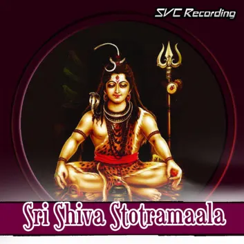 How Much is the Music Album Sri Shiva Stotramaala Worth? Royalty & Value Breakdown