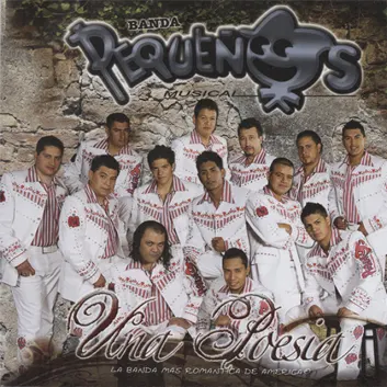 How Much is the Music Album Una Poesía Worth? Royalty & Value Breakdown