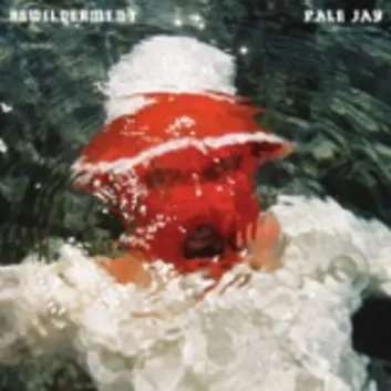 How Much is the Music Album Bewilderment Worth? Royalty & Value Breakdown