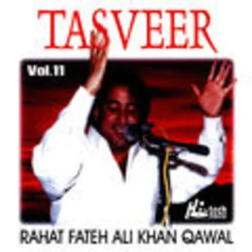 How Much is the Music Album Tasveer - Vol. 11 Worth? Royalty & Value Breakdown