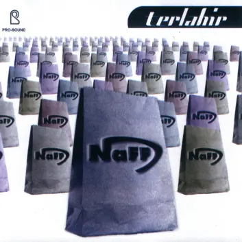 How Much is the Music Album Terlahir Worth? Royalty & Value Breakdown
