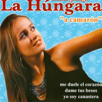 How Much is the Music Album A Camarón Worth? Royalty & Value Breakdown