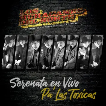 How Much is the Music Album Serenata En Vivo Pa' Las Toxicas Worth? Royalty & Value Breakdown
