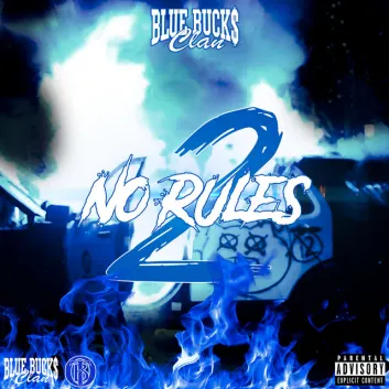 How Much is the Music Album No Rules 2 Worth? Royalty & Value Breakdown