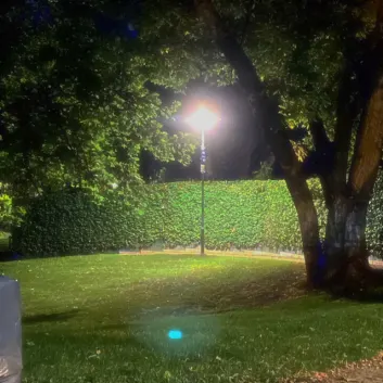 How Much is the Music Album Dreamcore Worth? Royalty & Value Breakdown