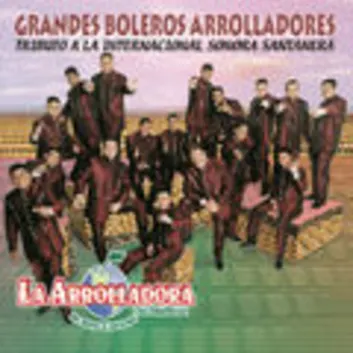 How Much is the Music Album Grandes Boleros Arrolladores Worth? Royalty & Value Breakdown