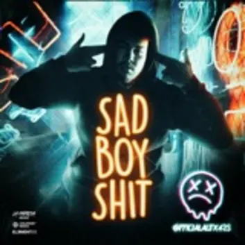 How Much is the Music Album Sad Boy Shit Worth? Royalty & Value Breakdown