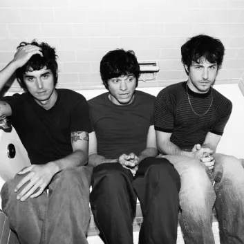 Wallows