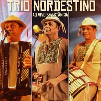 How Much is the Song O Amor Eu Encontrei - Ao Vivo by Trio Nordestino Worth? Royalty & Value Breakdown