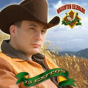 How Much is the Song Ebrio De Amor by Valentín Elizalde Worth? Royalty & Value Breakdown