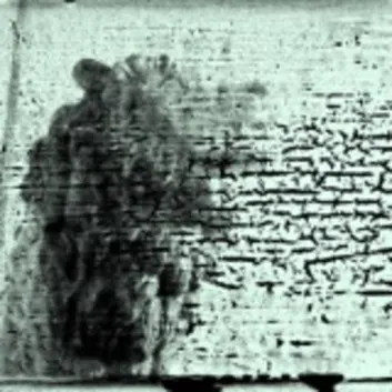 How Much is the Song Dorian by The Smashing Pumpkins Worth? Royalty & Value Breakdown