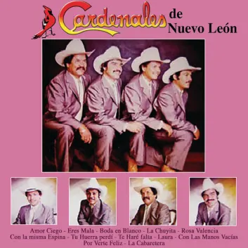 How Much is the Song Tu Huella Perdí by Cardenales De Nuevo León Worth? Royalty & Value Breakdown