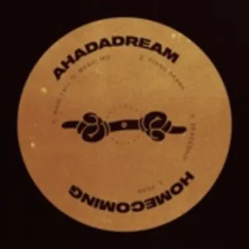 How Much is the Song Piano Skank by Ahadadream Worth? Royalty & Value Breakdown