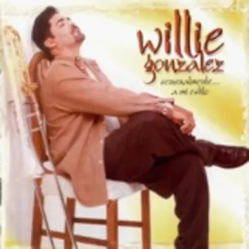 How Much is the Song Amor, Pasión y Locura by Willie Gonzalez Worth? Royalty & Value Breakdown