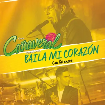 How Much is the Song Baila Mi Corazón by Grupo Cañaveral De Humberto Pabón Worth? Royalty & Value Breakdown